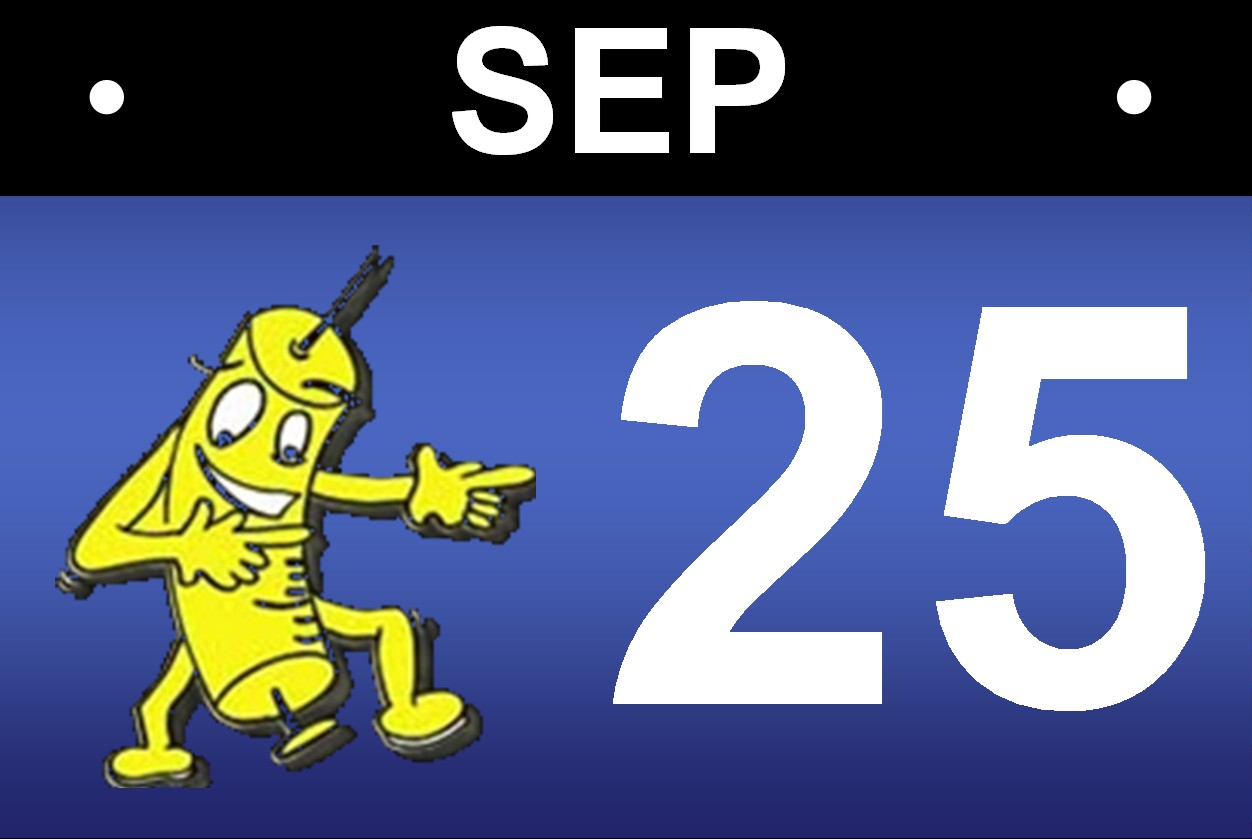 Herbstmarkt Gaggenau (Bühne bei Zink's Weinkischdl)